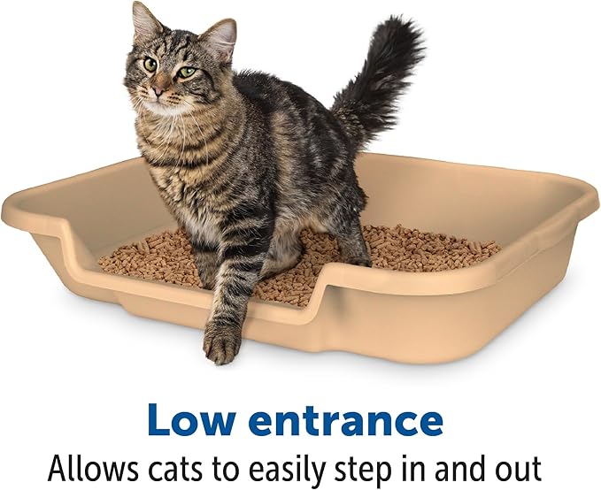KittyGoHere Senior Cat Litter Box 1 Pack, Large Beach Sand Low Entrance Kitty Litter Box, Sized for Cats Comfort, Perfect for Senior and Arthritic Cats, Made in USA – Includes Long-Handle Jumbo Scoop