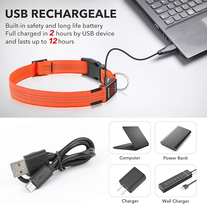 Illumifun LED Dog Collar USB Rechargeable Light Up Dog Collar, Reflective Pet Safety Collar Light Glow in The Dark (Orangeā
¢, Medium)
