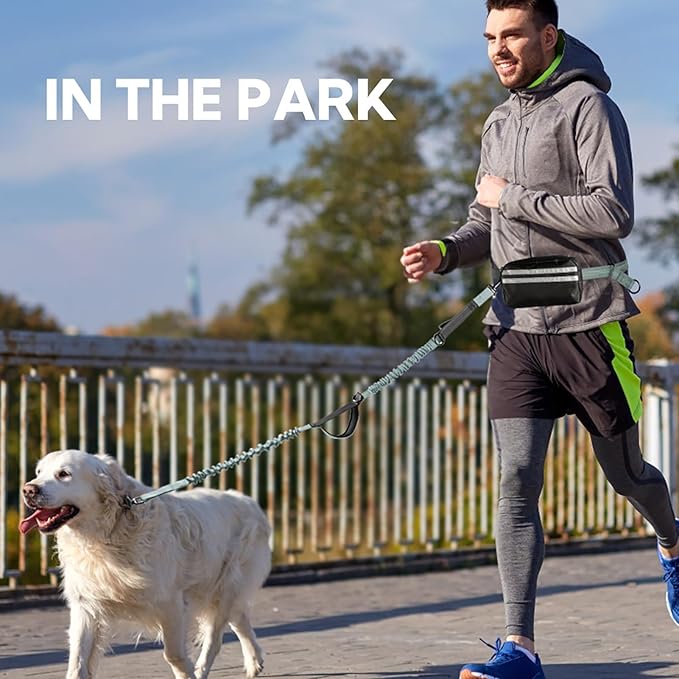 Hands Free Dog Leash with Pouch, Double Leash for Two Dogs, Retractable Bungee with Double Padded Handles, Dog Waist for Dog Walking, Running for Dogs, Dog Walking Accessories