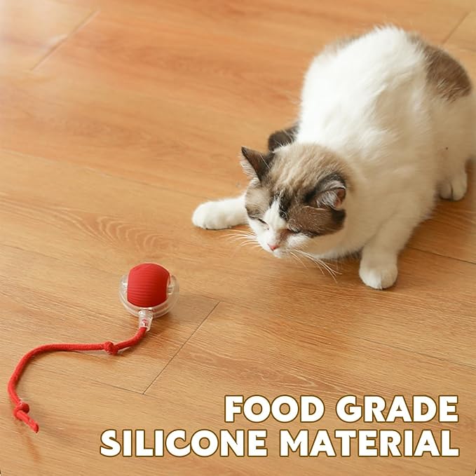 360° Smart Automatic Rolling Pet Ball - Interactive Dog & Cat Toy for Indoor Cats & Kittens (Grey)