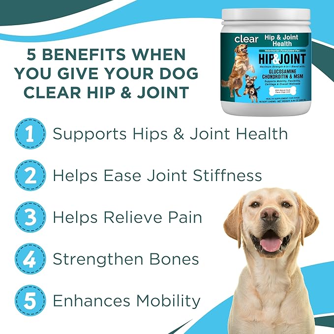 Glucosamine for Dogs Hip and Joint Supplement - Chondroitin, MSM, Green-Lipped Mussel - Clear Hip & Joint - Advanced Mobility Cartilage Support, Bone Health - Tasty Chews 60ct - Made in USA