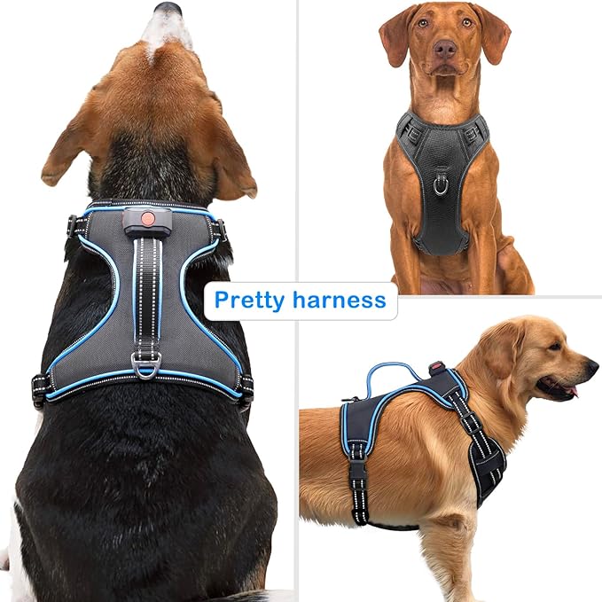 LED Dog Harness, No Pull, Light Up, Rechargeable, Blue, Large