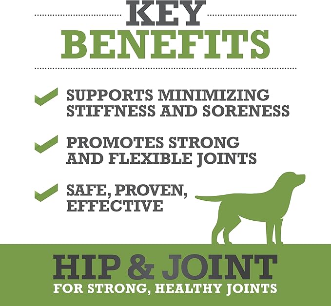 WINPRO Hip & Joint Supplement for Dogs - Plasma Powered Chews for Joint Health & Mobility – Fast-Acting with Collagen & Natural Ingredients for Dogs of All Breeds – 60 Chews – Made in USA