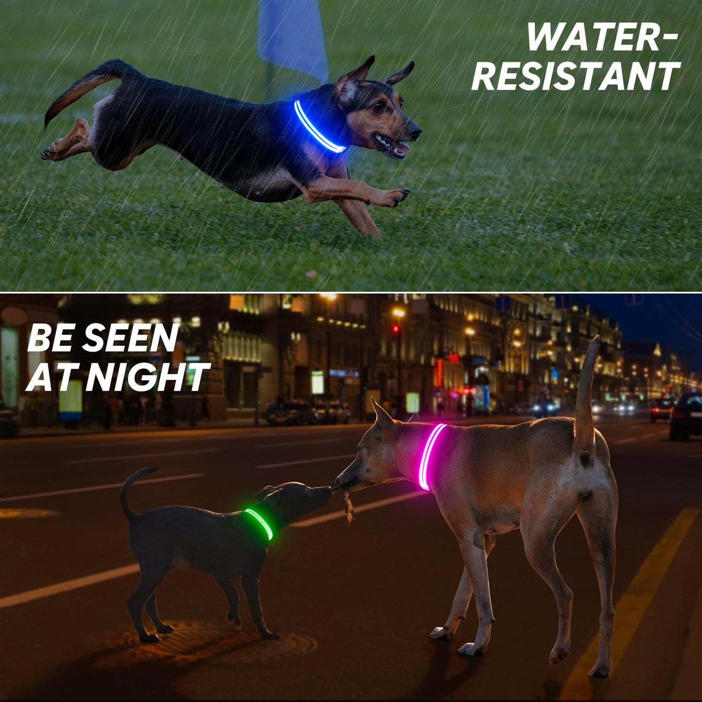 BSEEN Light Up Dog Collar - LED Dog Collar Rechargeable Lighted Pet Collars Glow in The Dark Puppy Collar Safety Dog Lights for Night Walking(Green, Small)