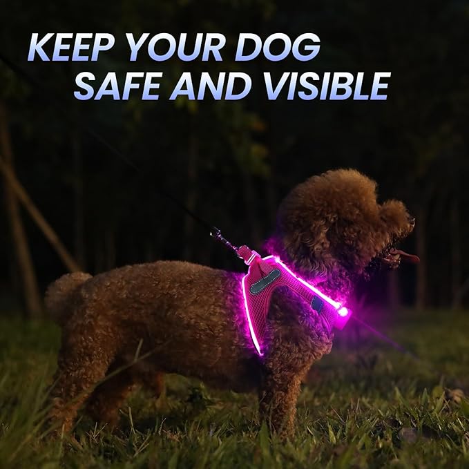 PceoTllar Light Up Dog Harness, LED No Pull Reflective Dog Harness, Flashing Lighted for Night Walking - Small/Medium, (Pink,L)