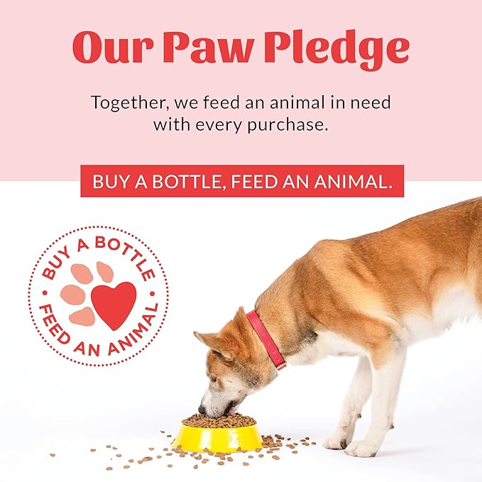 Skout's Honor Probiotic Dog Shampoo & Conditioner with Avocado Oil & Omega-3s, 97% Natural, Paraben & Sulfate-Free, Cruelty-Free, 16oz, Lavender, 2-Pack