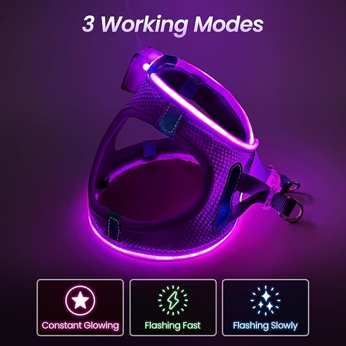 PceoTllar Light Up Dog Harness, LED No Pull Reflective Dog Harness, Flashing Lighted for Night Walking - Small/Medium, (Puplr,S)