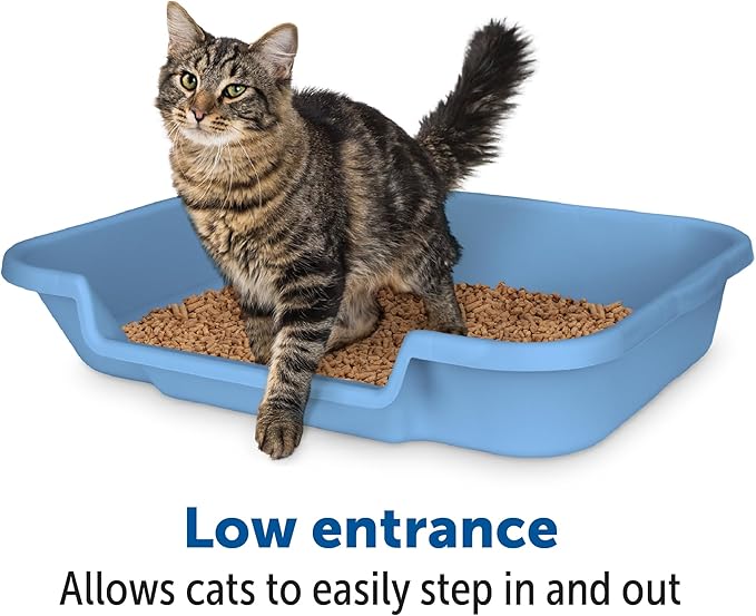 KittyGoHere Senior Cat Litter Box 1 Pack, Large Blue Low Entrance Kitty Litter Box, Sized for Cats Comfort, Perfect for Senior and Arthritic Cats, Made in USA