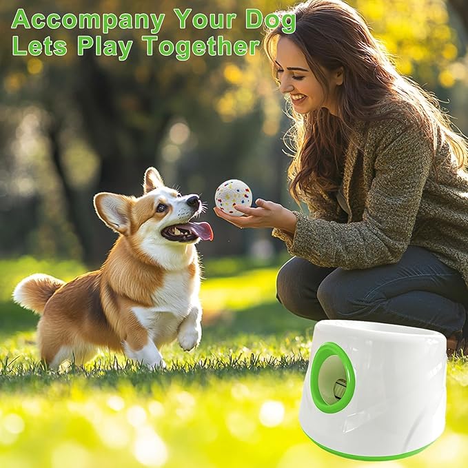 Automatic Ball Launcher for Dogs with 6 Balls