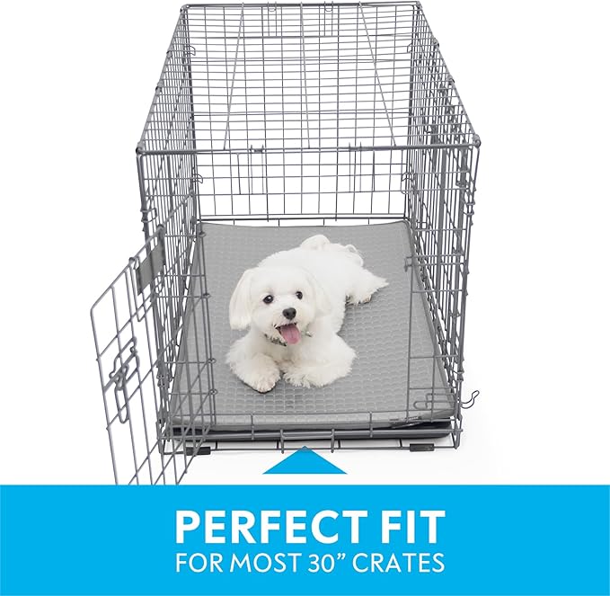 Paw Inspired Cooling Orthopedic Crate Pad for Dogs, Washable Memory Foam Dog Cooling Mat (29x18 Inch Small Size for 30 Inch Kennel, Gray)