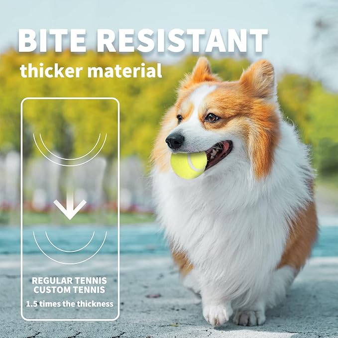 ALL FOR PAWS Dogs Ball Toy, 2" Dog Safety Balls Toy with High Bounce, Exercise and Play Interactive Dogs Tennis Balls Suitable for Ball Launchers