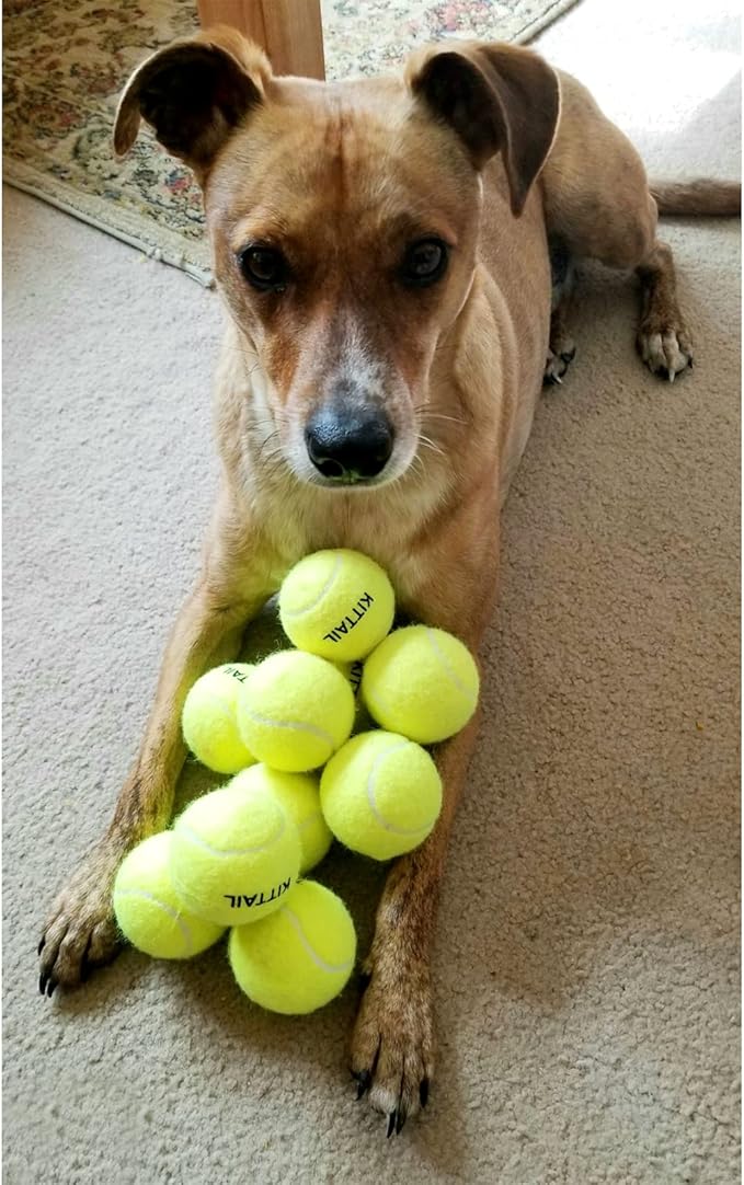 12 Pcs Squeaky Tennis Balls for Dogs - 2.58" Interactive Doggy Toys - Mini Safe, Durable for Small Medium Large Dogs Training Playing, with 1 Reusable Carry Bag