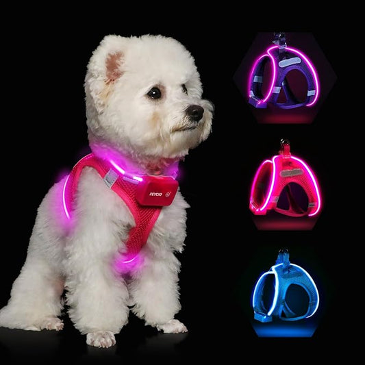 Light Up Dog Harness,Rechargeable LED Dog Harness for Small Medium Large Dogs,Reflective Lighted Safety Vest for Night Walking & Camping,Lightweight & Adjustable,Pink,XS