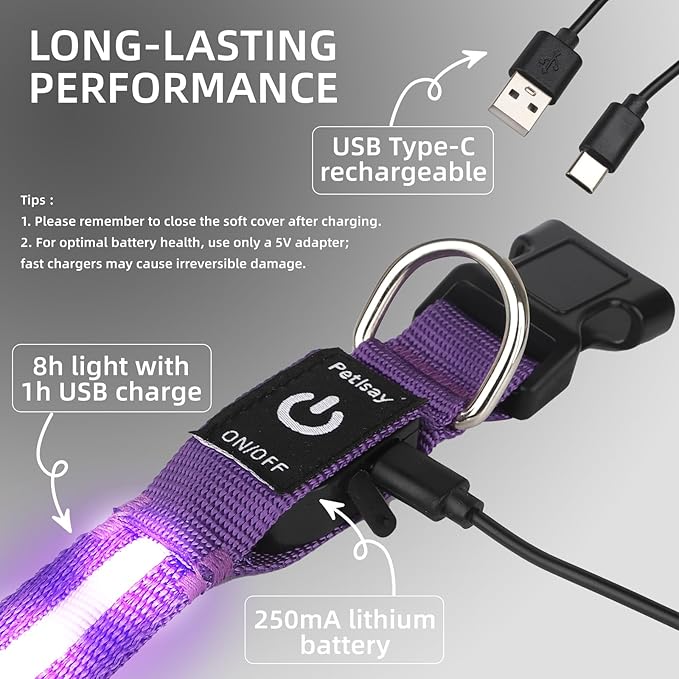 Super Bright LED Dog Collar - Fully Waterproof & Adjustable Glow Collar - USB-C Rechargeable for Night Walking, Safety - Flashing Lighted Collar for Dogs(Purple,Small)