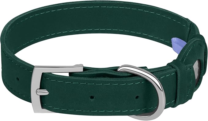 Leather Dog Collar with Airtag Holder - Apple AirTag Dog Collars - Soft Tracking Smart GPS Pet Collar for Small Medium Large Dogs Puppy (Green, L, 15"-19" Neck Fit)
