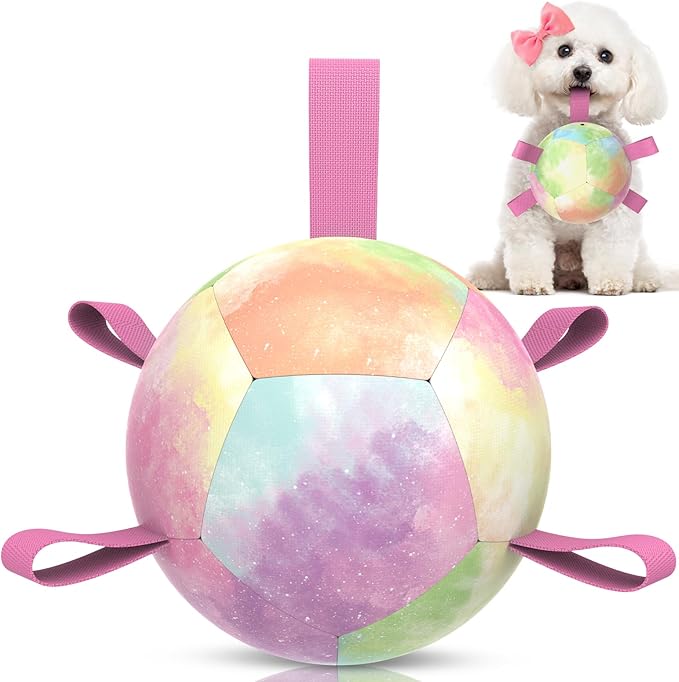 QDAN Dog Toys Soccer Ball with Straps, Durable Dog Balls for Tug of War, Puppy Birthday Gifts, Dogs Water Toy Small Dogs-Rainbow(5 Inch)