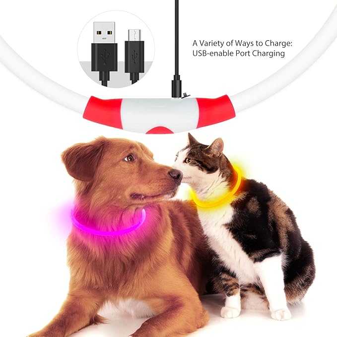 Flashseen LED Dog Collar, USB Rechargeable Glowing Lighted Up Collar, Cuttable Water-Resistant TPU Safety Collar Lights for Small Medium Large Dogs