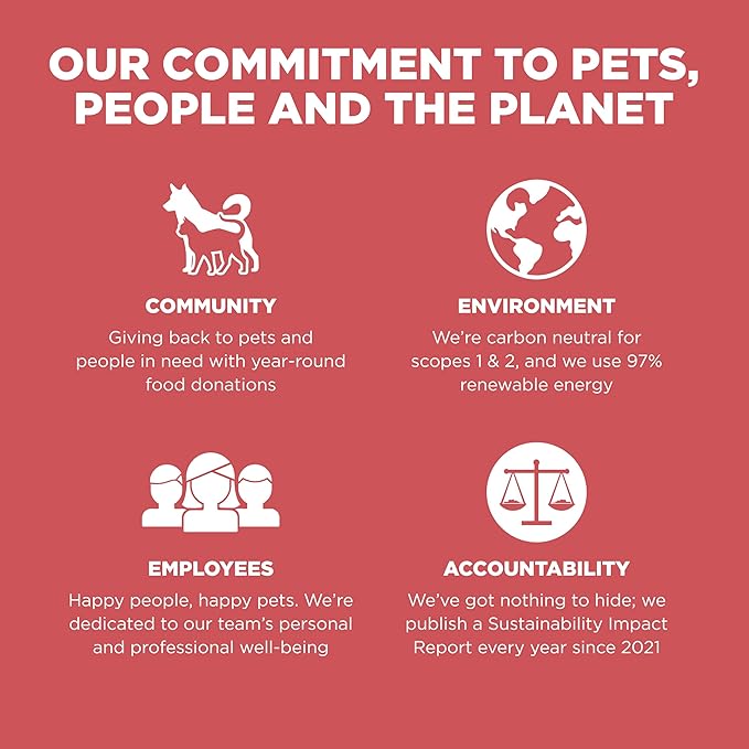 Go! Solutions Sensitivities - Limited Ingredient Dog Treats Salmon Recipe - Soft and Chewy Dog Treats, 6 oz Bag