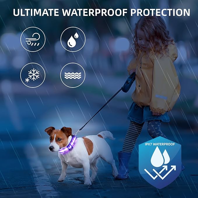 Super Bright LED Dog Collar - Fully Waterproof & Adjustable Glow Collar - USB-C Rechargeable for Night Walking, Safety - Flashing Lighted Collar for Dogs(Purple,Small)