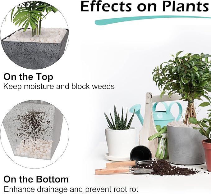 GASPRO 2.5 Pound Pebbles for Indoor Plants, 3/8" Decorative White Rocks for Vases, Planters, Succulents, Highly Polished Aquarium Gravel, Smooth Surface and Fade Resistant