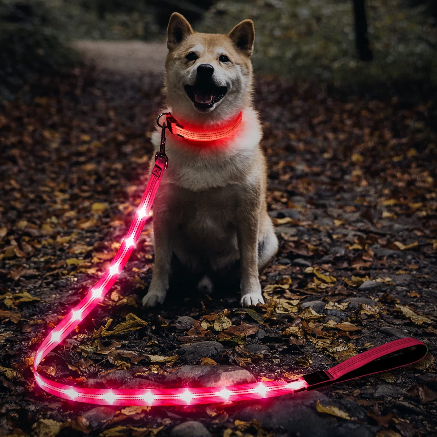 Illumifun LED Dog Leash - USB Rechargeable Light Up Dog Leash Glow in The Dark, Nylon Glowing Dog Lead for Your Dogs Walking (PinkⅡ)