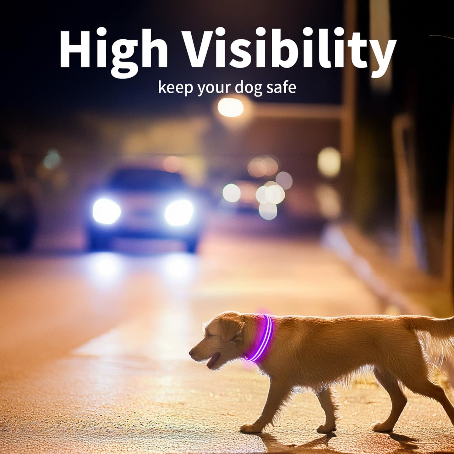 LED Dog Collar, USB Rechargeable Light Up Dog Collar, Adjustable Glowing Dog Collars, Comfortable Soft Collar for Small, Medium, Large Dogs Night Walking-Purple S