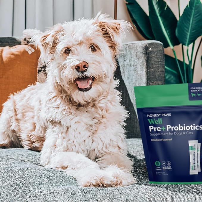 Honest Paws Probiotics for Dogs - Digestive & Immune Support Powder with Prebiotic Made in The USA, Chicken Flavor (30 Sticks)