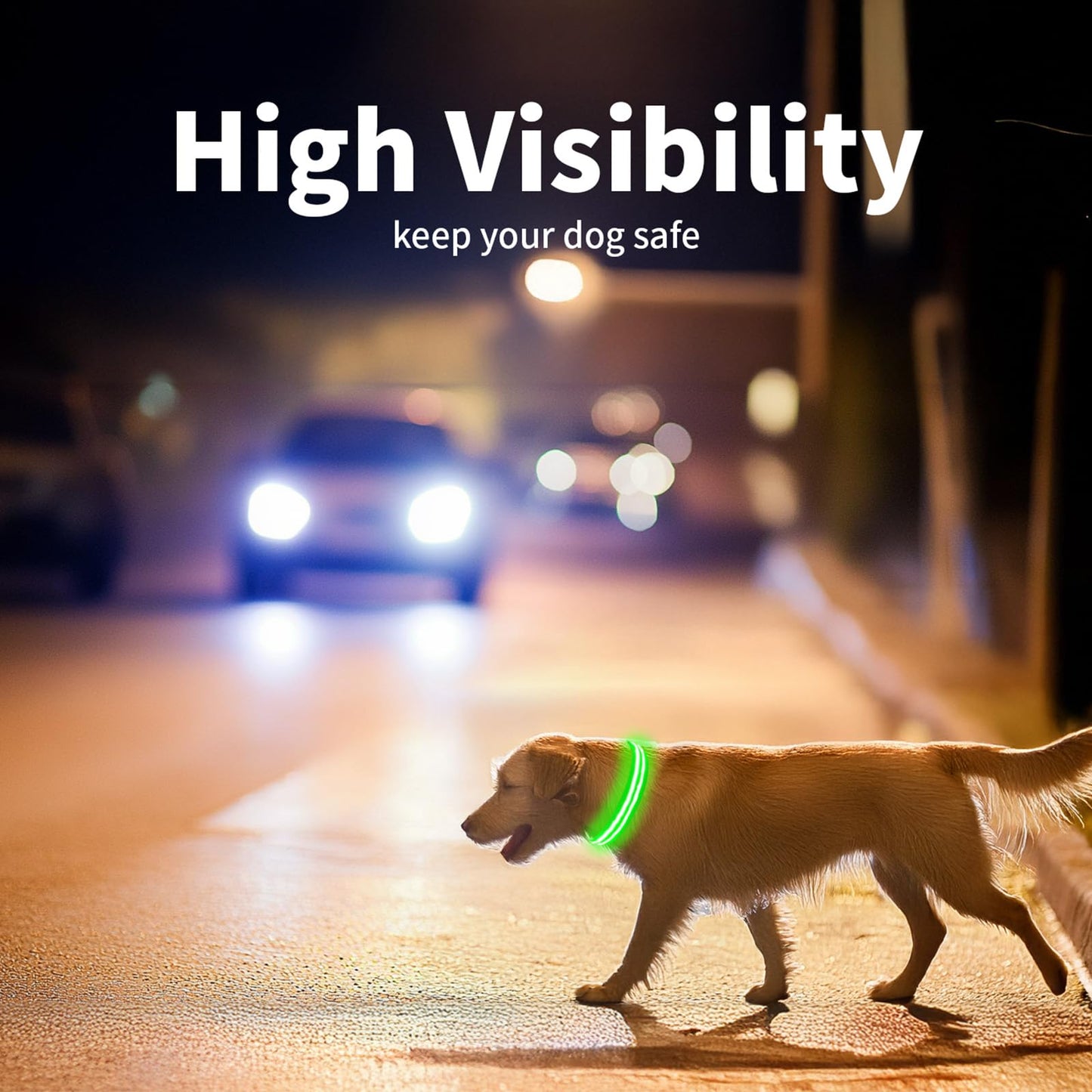 LED Dog Collar, USB Rechargeable Light Up Dog Collar, Adjustable Glowing Dog Collars, Comfortable Soft Collar for Small, Medium, Large Dogs Night Walking-Green S