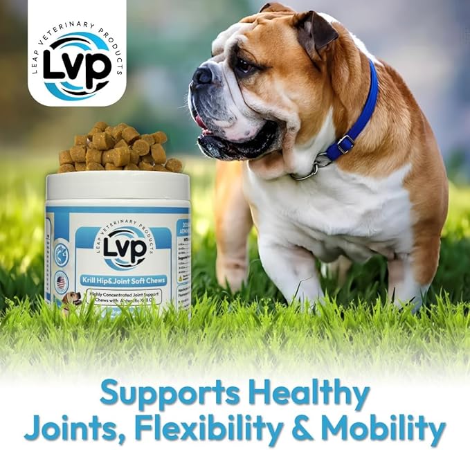Dogs Suplements Hip & Joint - Krill Oil and Glucosamine Soft Chews, Joint Supplement for Dogs with Krill Oil,Glucosamine, Chondroitin, MSM, Turmeric, Anti Inflammatory, Mobility (Beef 90ct)