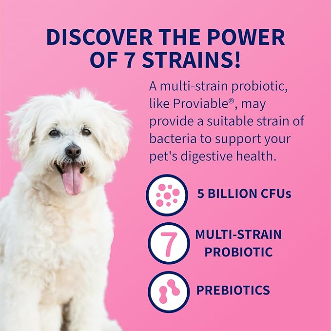 Nutramax Proviable Probiotics for Dogs, Daily Digestive Health Supplement with Multiple Strains of Bacteria, Dog Probiotics Plus Prebiotics, 60 Chewable Tablets