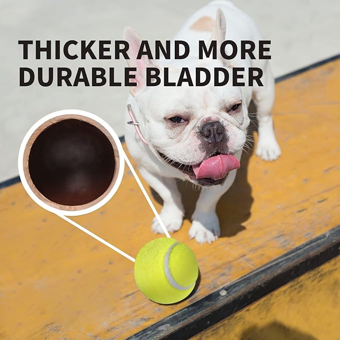 ALL FOR PAWS Dogs Ball Toy, 2" Dog Safety Balls Toy with High Bounce, Exercise and Play Interactive Dogs Tennis Balls Suitable for Ball Launchers