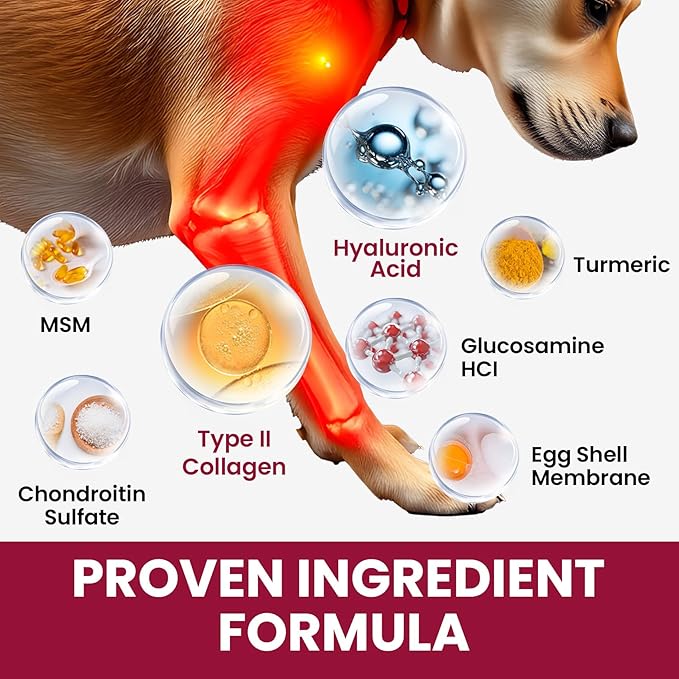 Glucosamine for Dogs, Liquid Hip and Joint Supplement, Chondroitin Drops for Dogs, Joint Drops for Dog, Dog Supplement for Mobility Pain Relief - 60ml