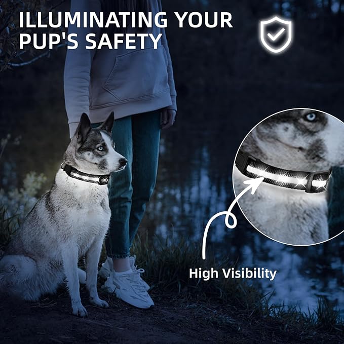 Super Bright LED Dog Collar - Fully Waterproof & Adjustable Glow Collar - USB-C Rechargeable for Night Walking, Safety - Flashing Lighted Collar for Dogs(White,Medium)