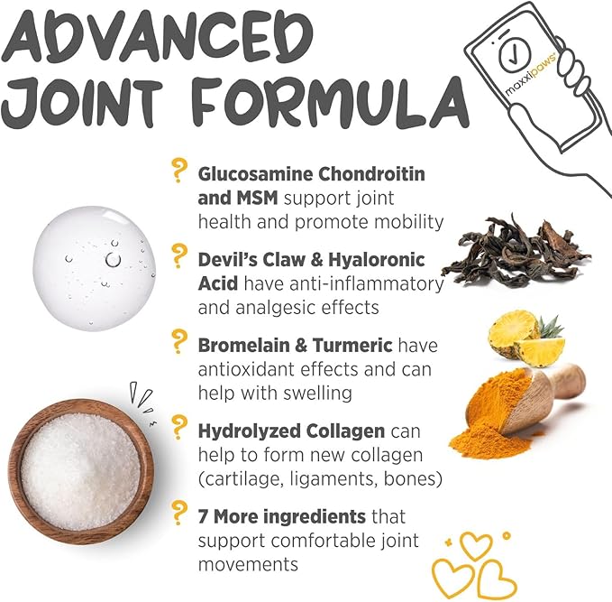 maxxipaws - maxxiflex+ Hip & Joint Supplement for Dogs with Glucosamine, Chondroitin, MSM & Collagen | Mobility, Flexibility & Discomfort Support | Senior, Adult & All Breeds | 60 Tablets