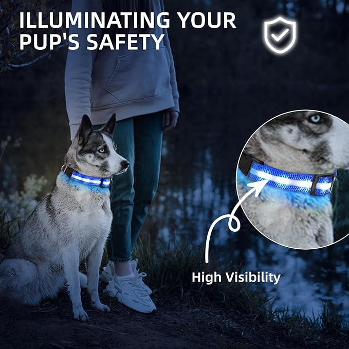 Super Bright LED Dog Collar - Fully Waterproof & Adjustable Glow Collar - USB-C Rechargeable for Night Walking, Safety - Flashing Lighted Collar for Dogs(Blue,Large)