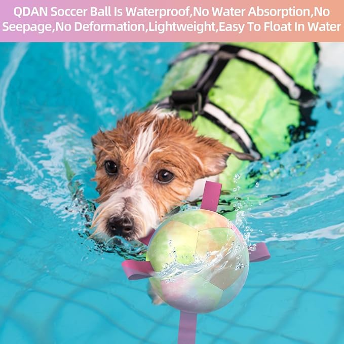QDAN Dog Toys Soccer Ball with Straps, Durable Dog Balls for Tug of War, Puppy Birthday Gifts, Dogs Water Toy Small Dogs-Rainbow(5 Inch)