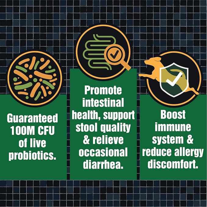 Army Soldier Owned Dog Probiotics for Yeast, Itchy Skin & Itchy Ears, Dog Allergy Relief, Digestive Health, Occasional Diarrhea & Immune Support, 60 Yummy Chewables