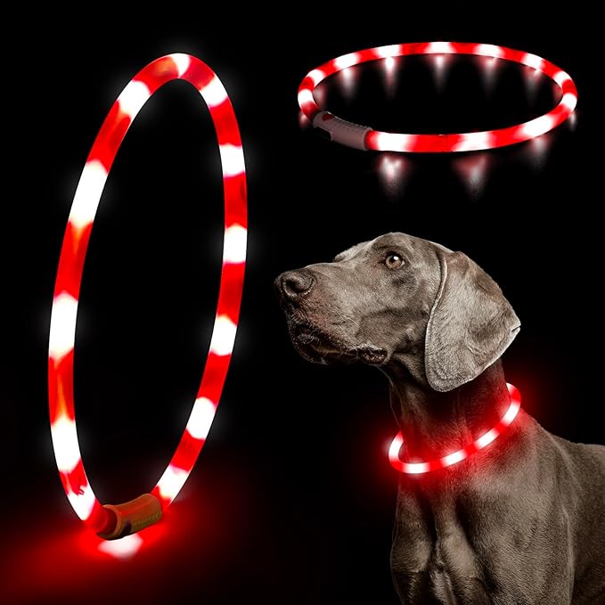 HIGO Light Up Dog Collar, Lightweight Silicone LED Dog Collar, USB Rechargeable Dog Collar Light for Dogs Cats Walking at Night (Red-Silicone)