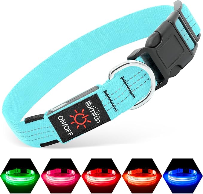 Illumifun LED Dog Collar, Reflective Light Up Collars for Small Dog, USB Rechargeable Pet Collar Light for Dogs Walking Camping (Blueā
¢, Small)