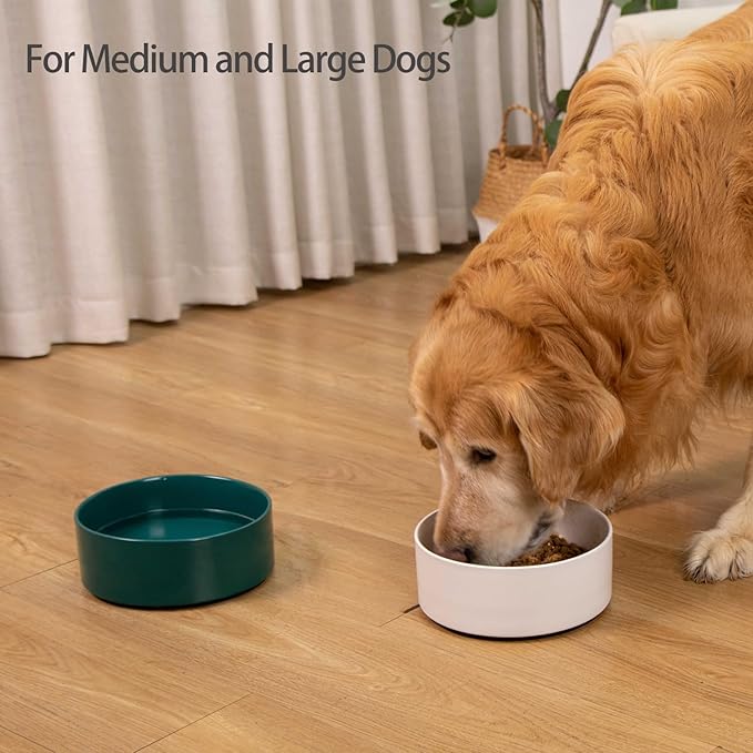 Large Dog Bowls, Non Slip Heavy Ceramic Dog Food and Water Bowl with Silicone Base, 8" Pet Feeding Bowl for Small, Medium, and Big Dogs (White, 8 Inches)