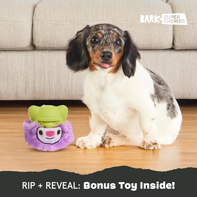 Barkbox Torbert The Troll Dog Toy for Small Dogs – Natural Rubber with Wacky Bounce – Perfect for Aggressive Chewers and Long-Lasting Playtime
