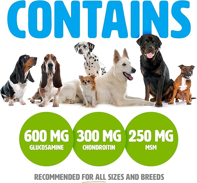 Glucosamine for Dogs with Chondroitin and MSM -Hip and Joint Supplement for Dog Mobility Support and Arthritis Pain Relief -120 Chewable Tablet Treats