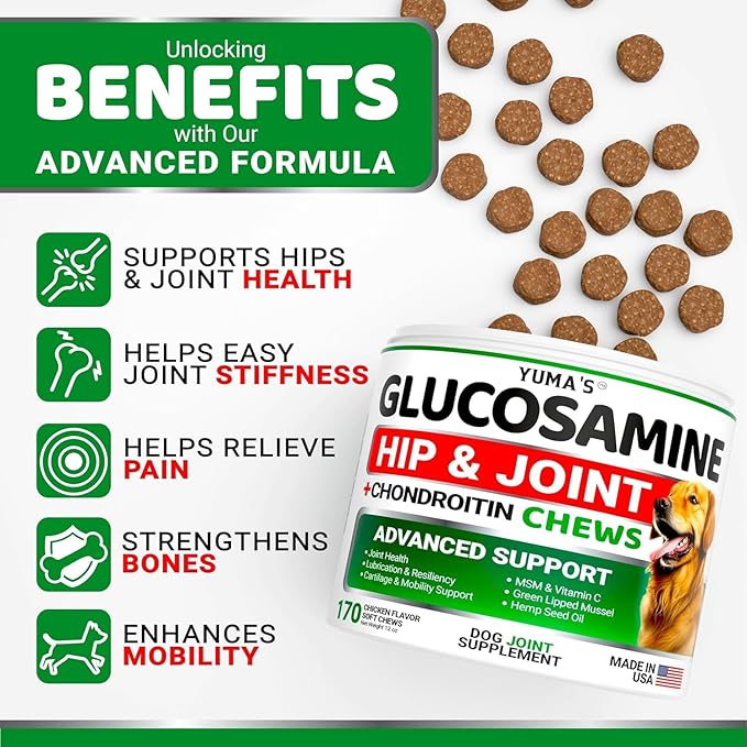 YUMA'S (2 Pack) Glucosamine for Dogs - Hip and Joint Supplement for Dogs - Glucosamine Chondroitin Chews - Joint Pain Relief Supplement with MSM - Advanced Health - Mobility Support - Made in USA
