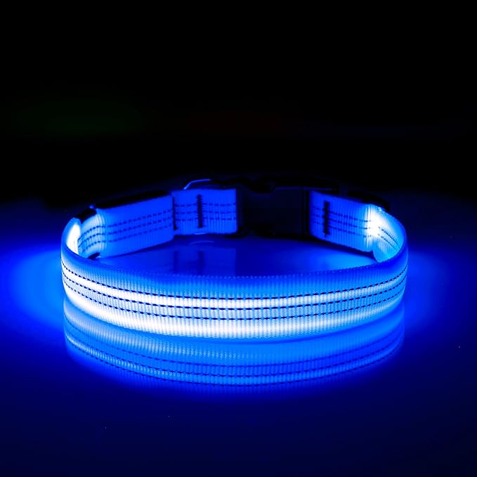 Illumifun LED Dog Collar, Reflective Light Up Collars for Small Dog, USB Rechargeable Pet Collar Light for Dogs Walking Camping (Blueā
¢, Small)