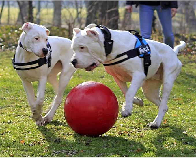 Jolly Pets Push-n-Play Ball Dog Toy, 14 Inches/Extra-Large, Red All Breed Sizes