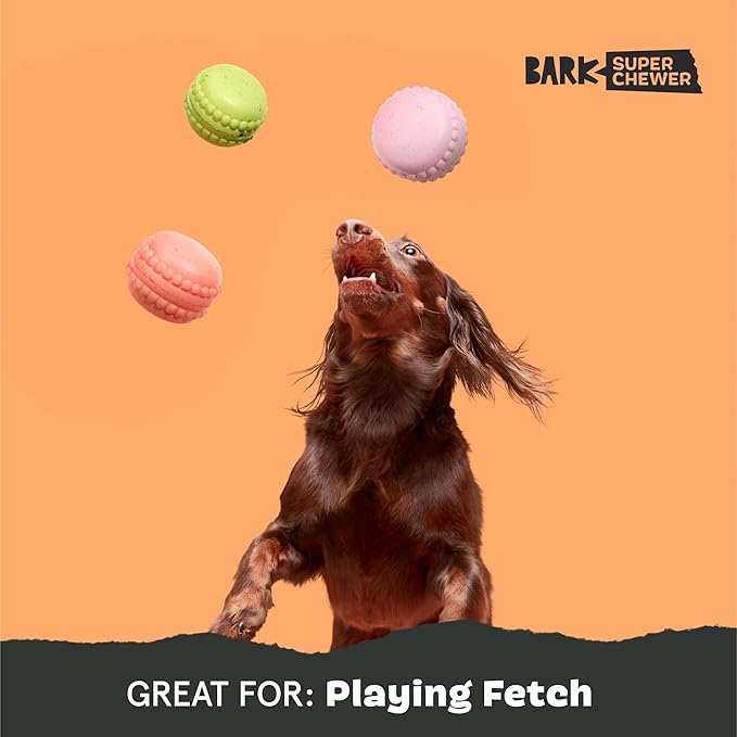 Barkbox Macaruffs | Plush Dog Toy Bundle for Small Dogs, Perfect for Cuddles and Gift Giving