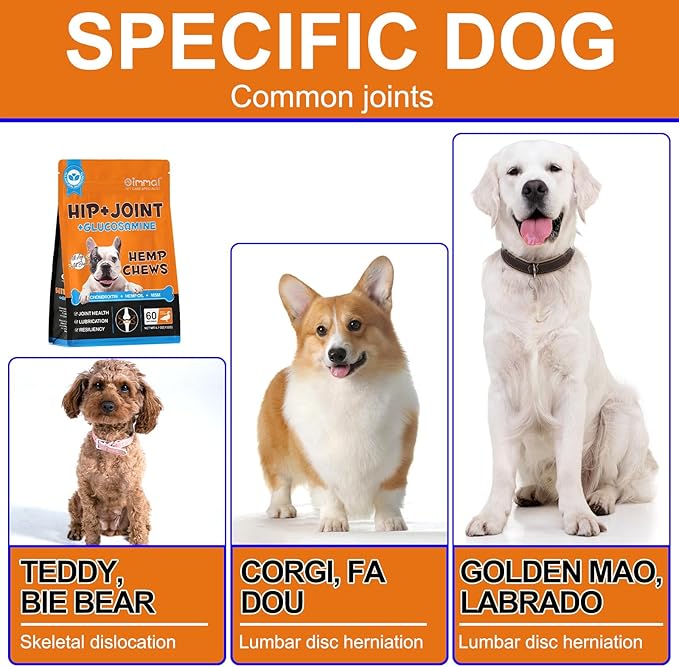 Hip and Joint Supplement for Dogs,Hip & Joint Pain Relief Pills - Large & Small Breed - Hip Joint Chews Canine Joint Health,Mobility & Flexibility Support -Duck Flavor 60 Count