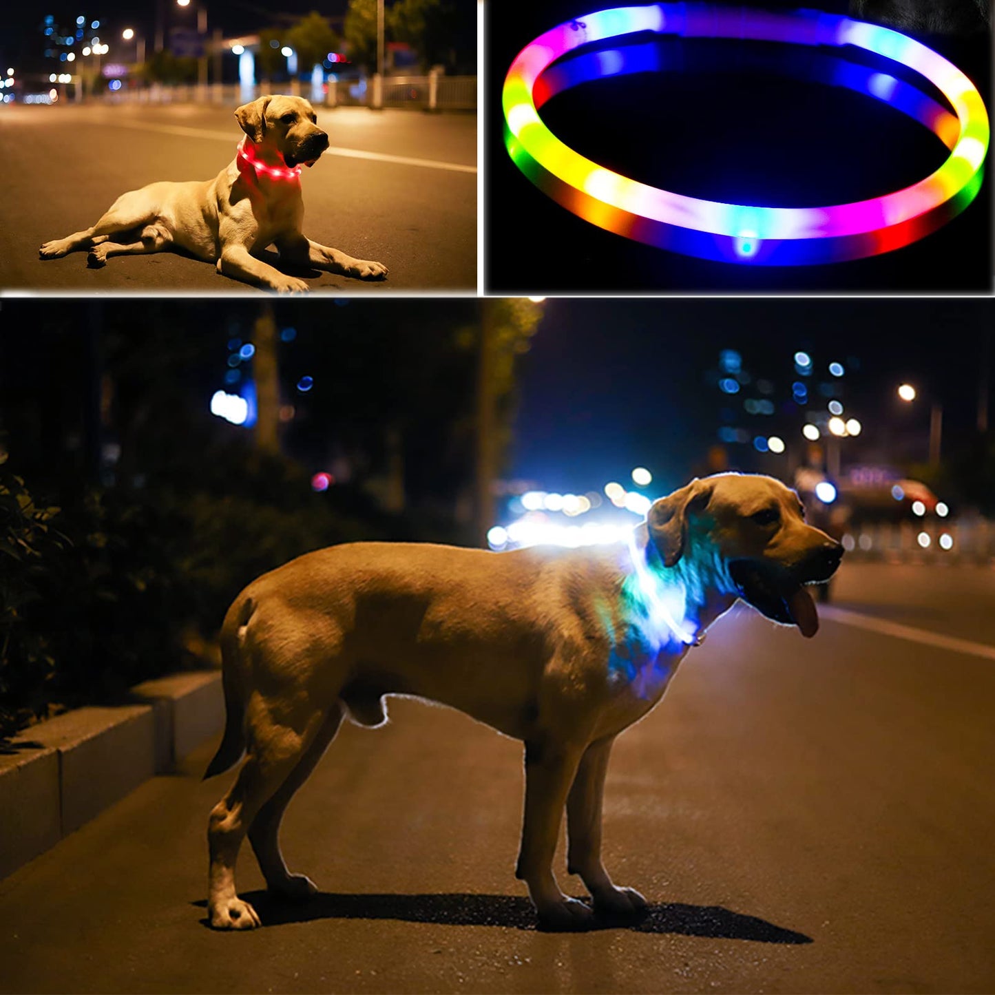 Light Up Dog Collar, Rechargeable Glowing Dog Collar, Light Dog Collar for Night Walking with 1640 FT of Visibility - Brightest LED Dog Collar Light, 3 Flashing Modes, Keeps Your Pets Safe in The Dark
