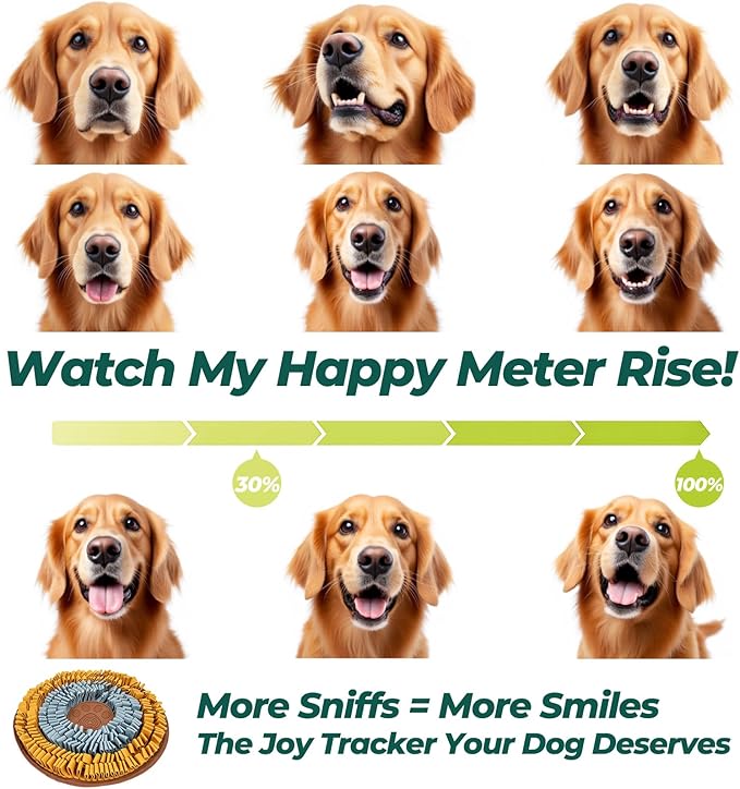 Cookie Snuffle Mat for Dogs, Medium Dog Snuffle Mat 18.9”x18.9”, Keep Them Busy Enrichment Tool & Slow Feeder, Multiple Types, Durable, Machine Washable, Ideal for All Breed Sizes