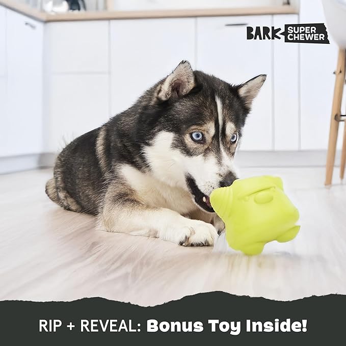 Barkbox Torbert The Troll Dog Toy for Large Dogs, Natural Rubber with Wacky Bounce Perfect for Aggressive Chewers and Long-Lasting Playtime